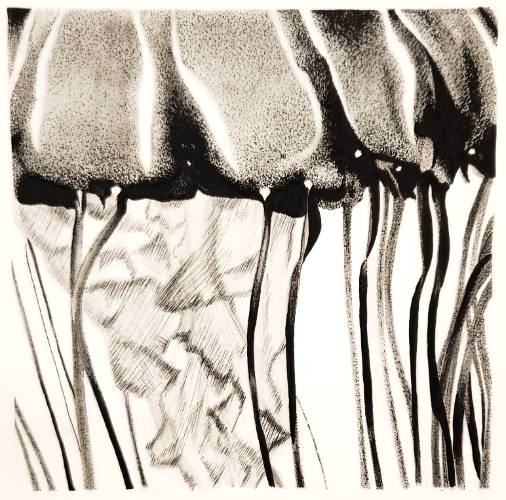 Alyssa Kreider - Jellyfish Abstraction - ARTS-101 SP25
