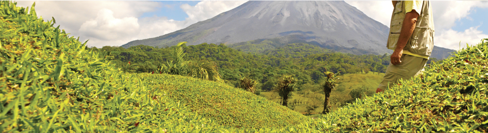 costa rica