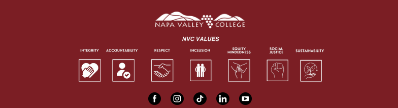 NVC Values